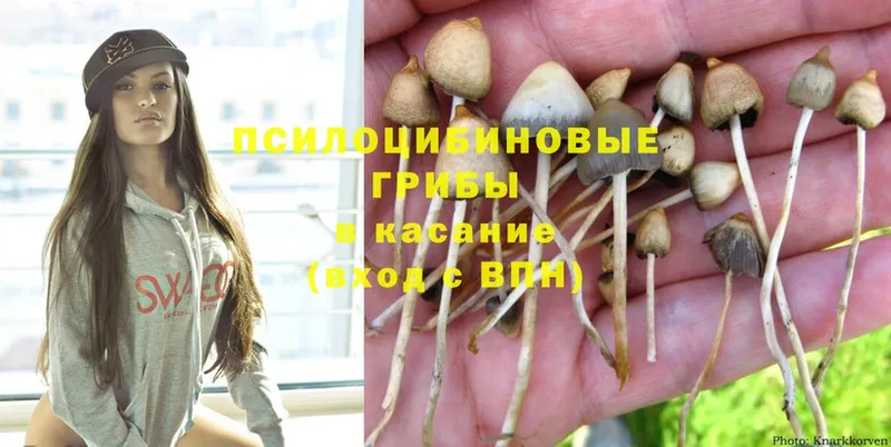 Галлюциногенные грибы Magic Shrooms  Зима 